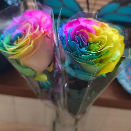 Romanticke Colors Apartment *