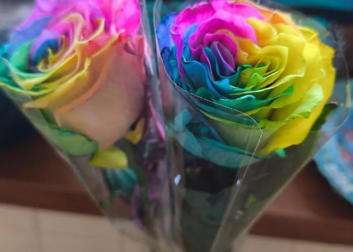 Romanticke Colors アパート *